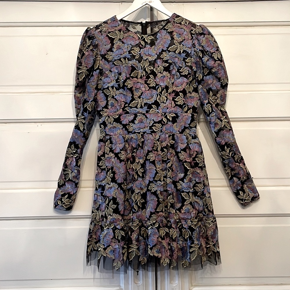 Adrienne Embroidered Puff Sleeve Mini Dress by Dress the Population